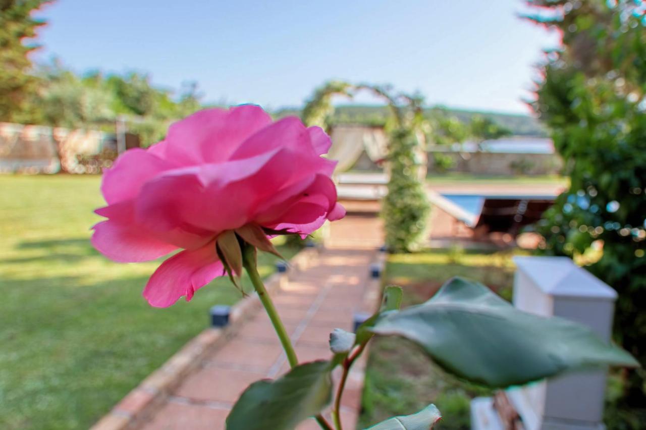 Holiday Home Giardino Marino Pomer Exterior foto